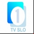 TV Slovenia 1