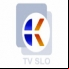 TV Koper - Capodistria