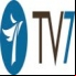 TV7