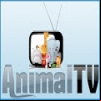 Animal TV