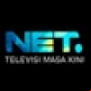 Net Televisi