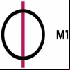 M1 TV
