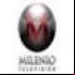 Milenio TV