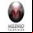 Milenio TV